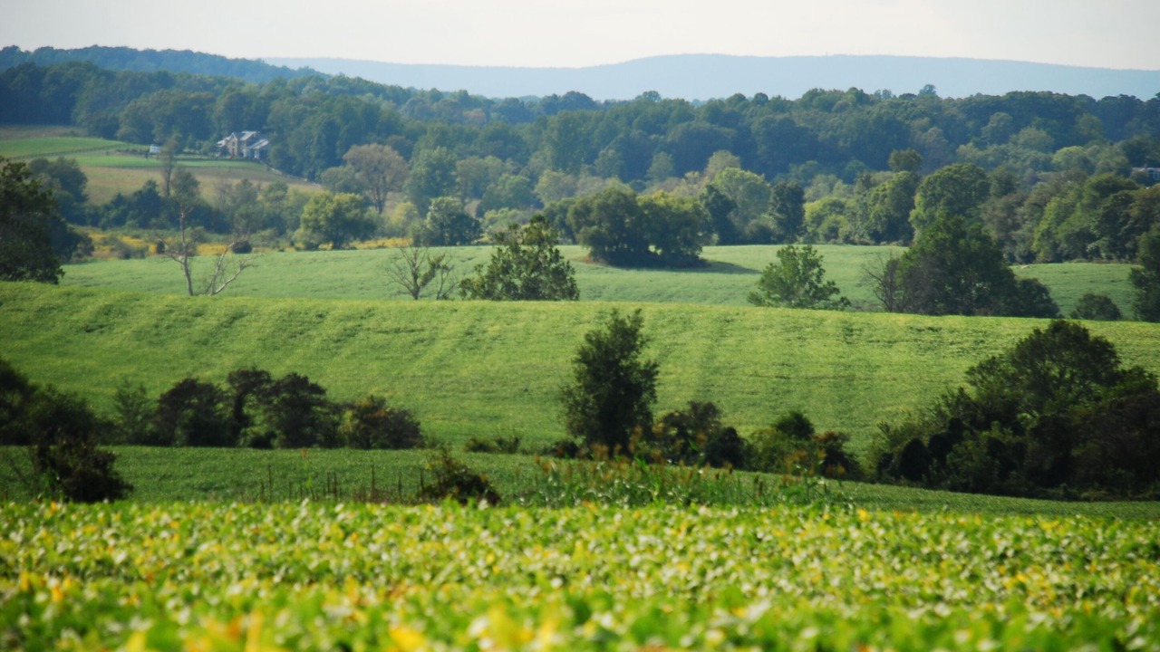 Photo of Outdoor in Philomont
