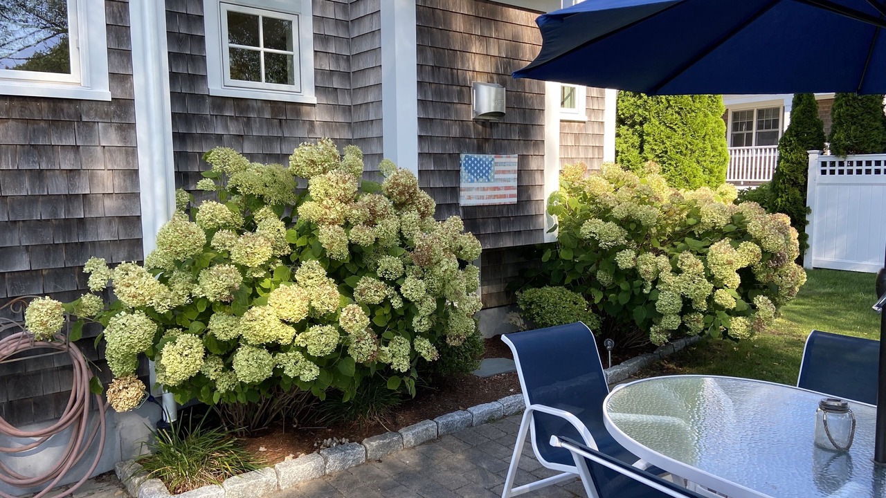 Photo of Outdoor in Chatham