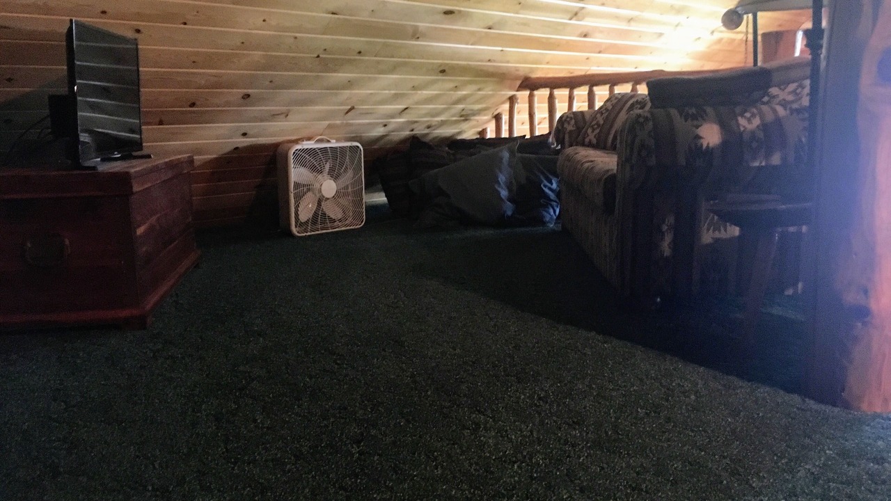 Photo of Livingroom in Paynesville