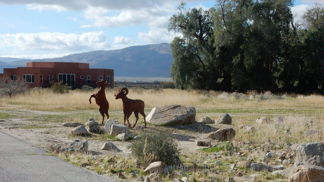 Photo of Others in Borrego Springs
