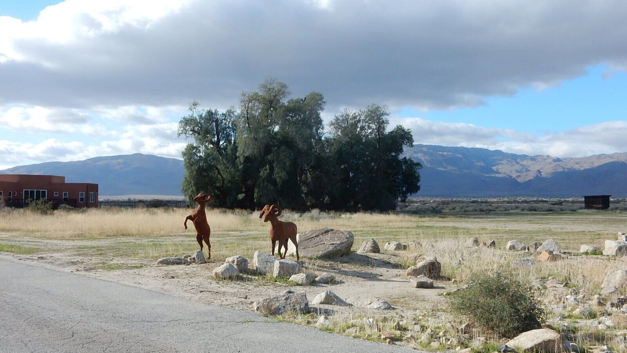 Photo of Others in Borrego Springs