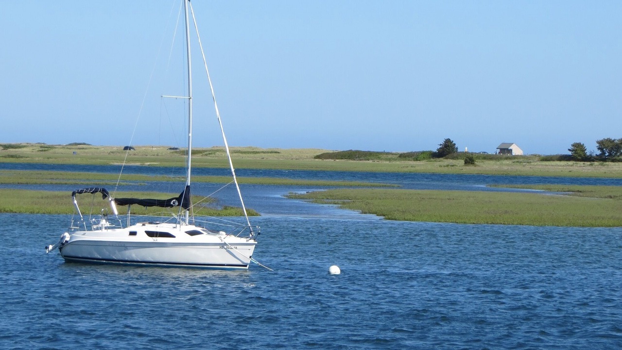 Photo of Others in Bass River