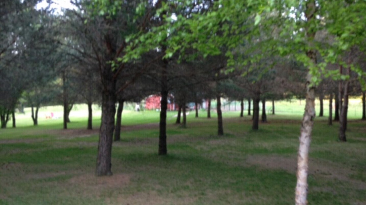Photo of Outdoor in Janesville