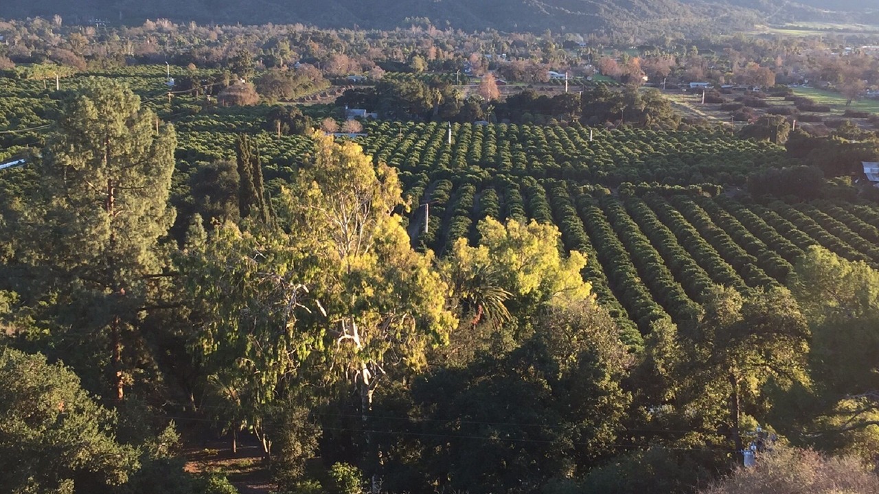 Photo of Outdoor in Ojai