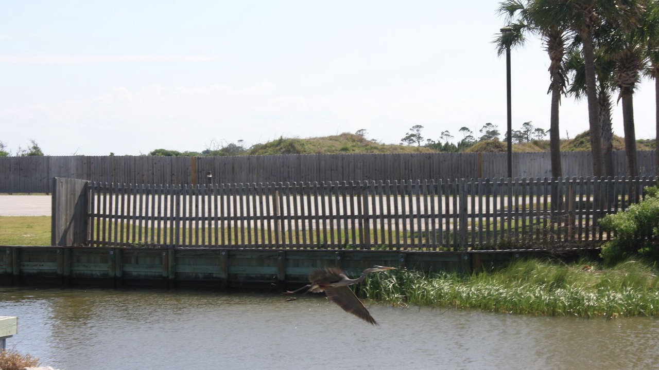 Photo of Others in Fort Morgan Pines