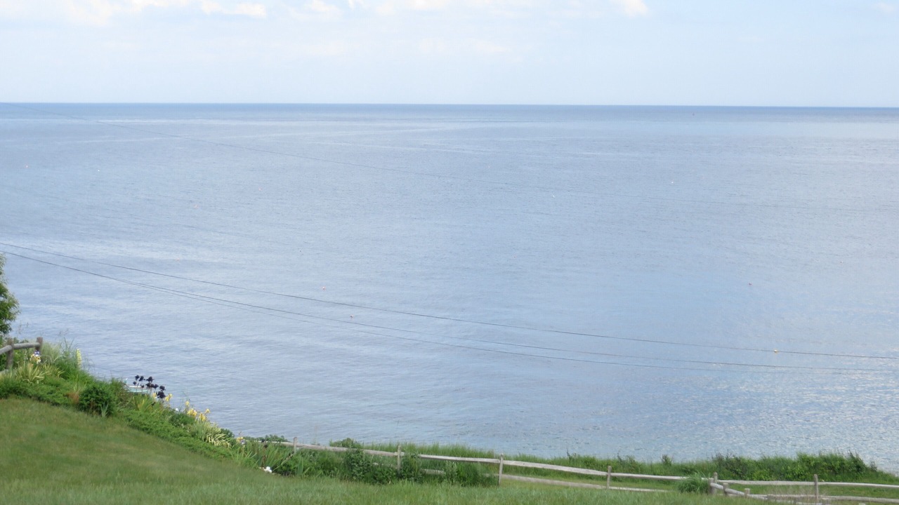 Photo of Others in Plymouth