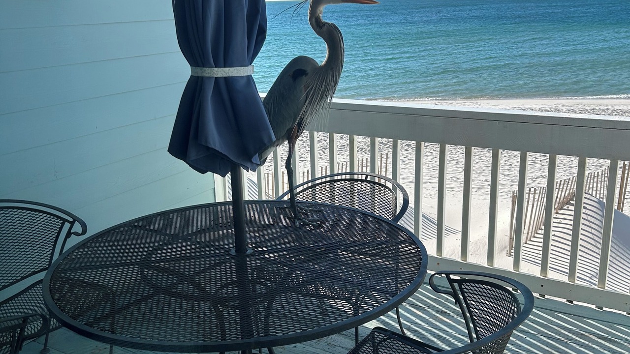 Photo of Outdoor in Fort Morgan