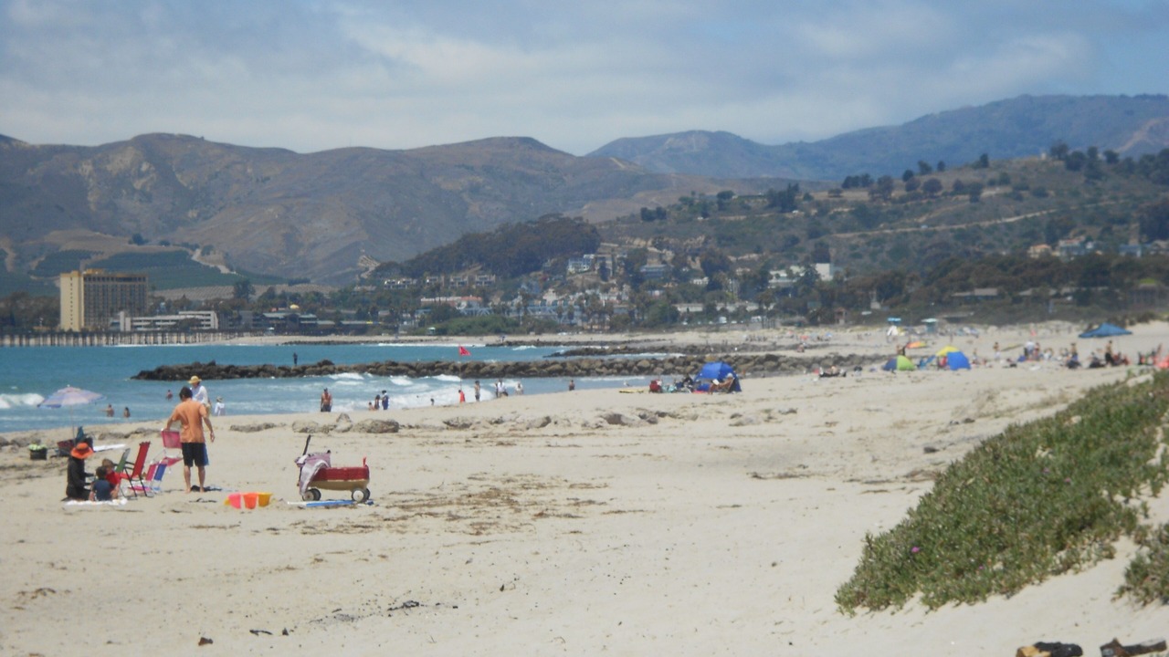 Photo of Others in Pierpont Bay