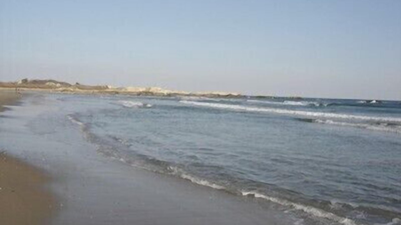 Photo of Others in Bonnet Shores