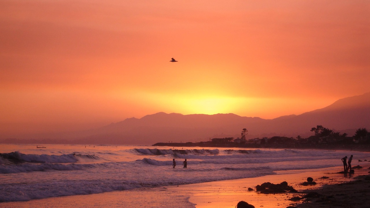 Photo of Others in Carpinteria