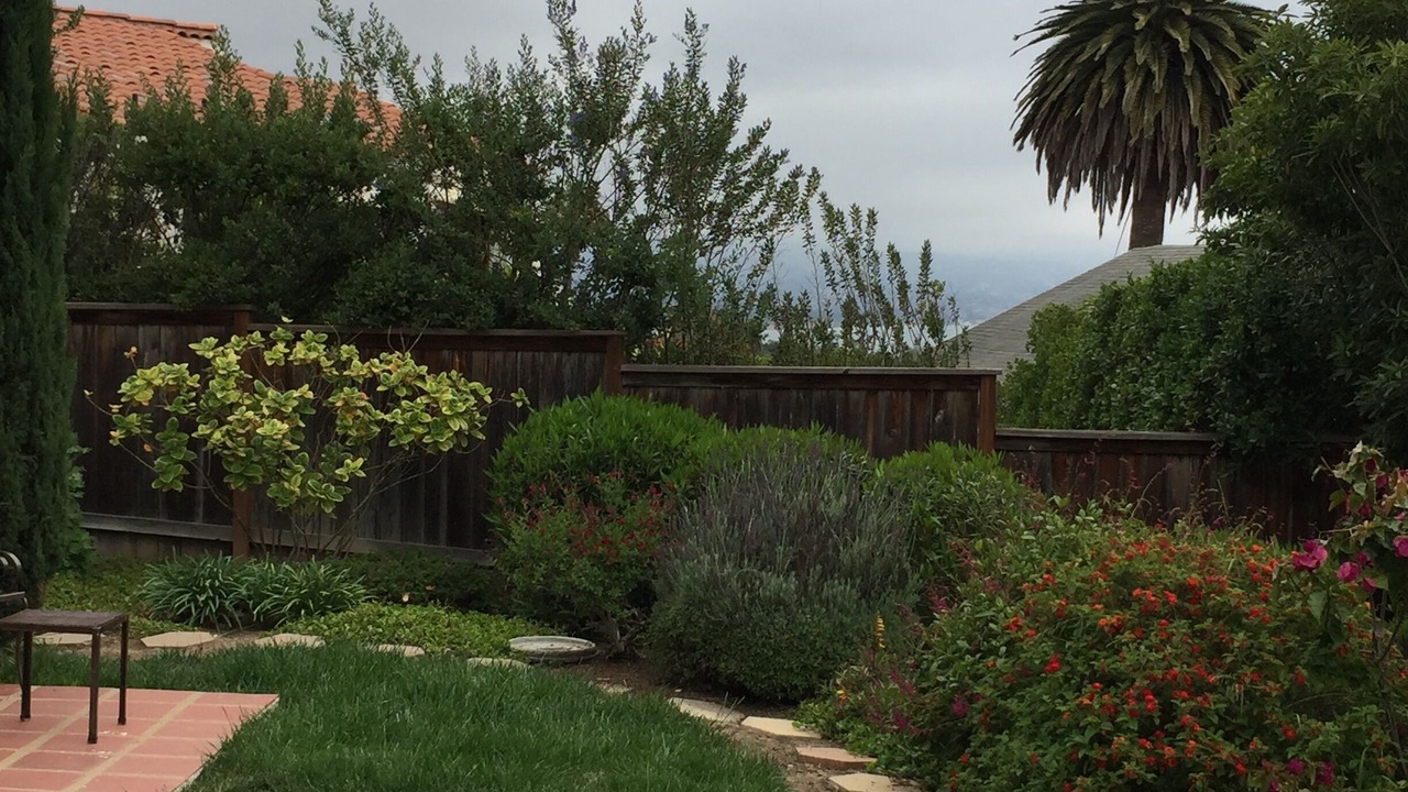 Photo of Outdoor in The Mesa