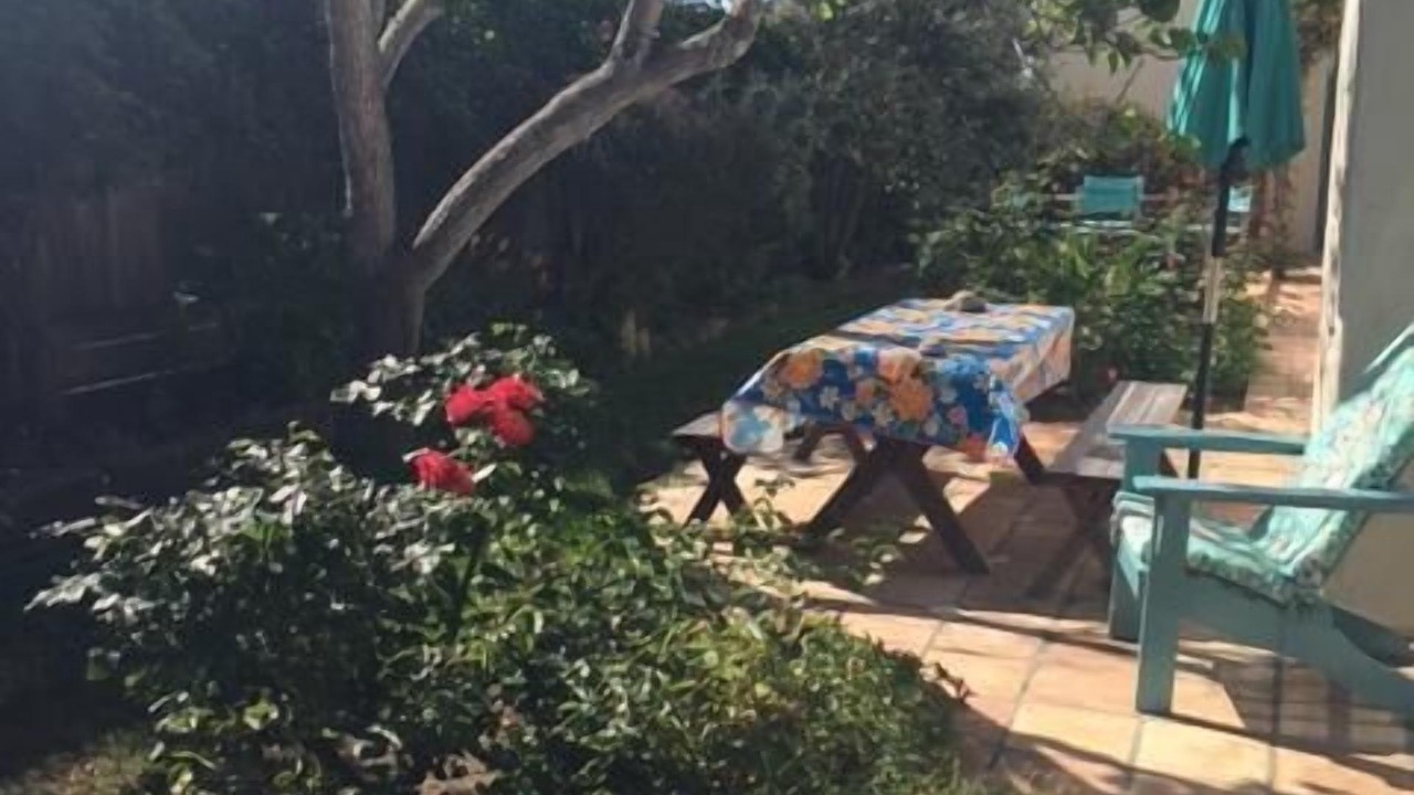 Photo of Outdoor in West Mesa