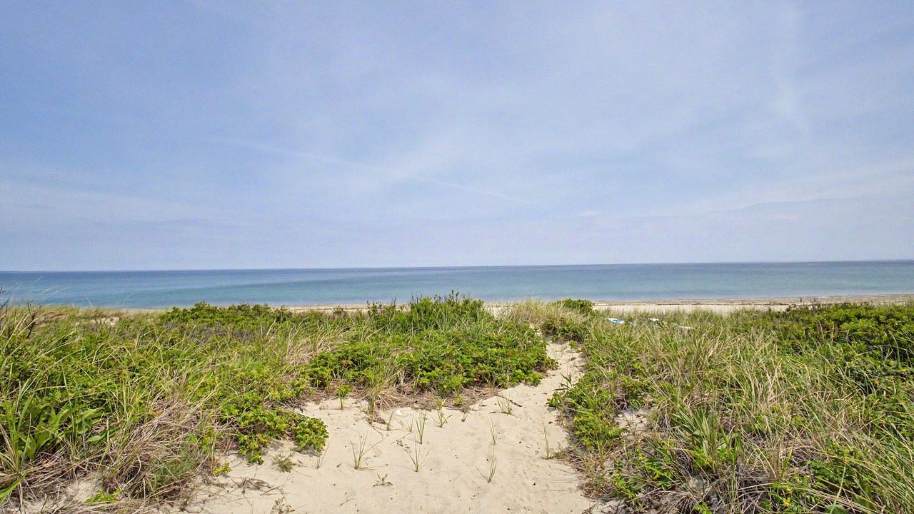 Photo of Others in East Sandwich