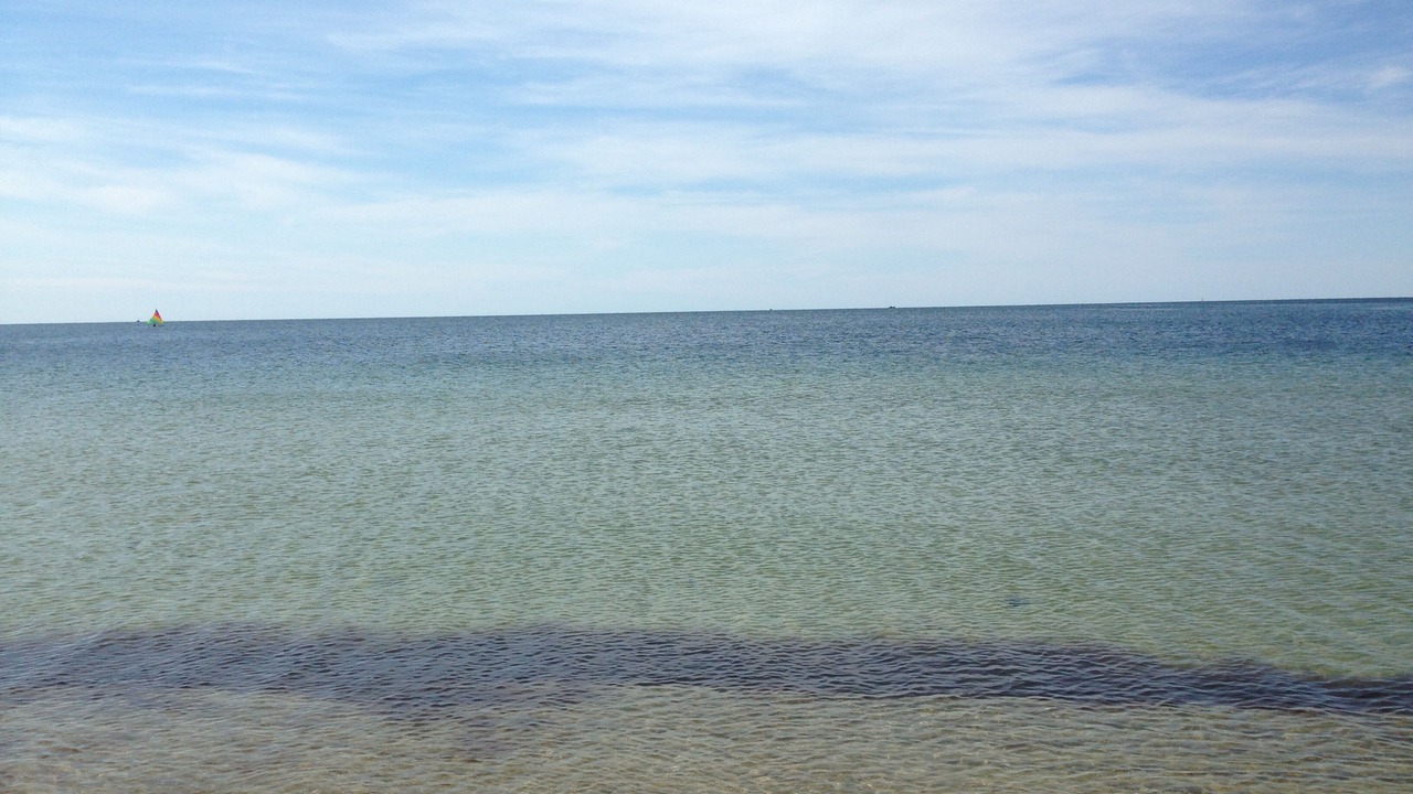 Photo of Others in West Hyannisport