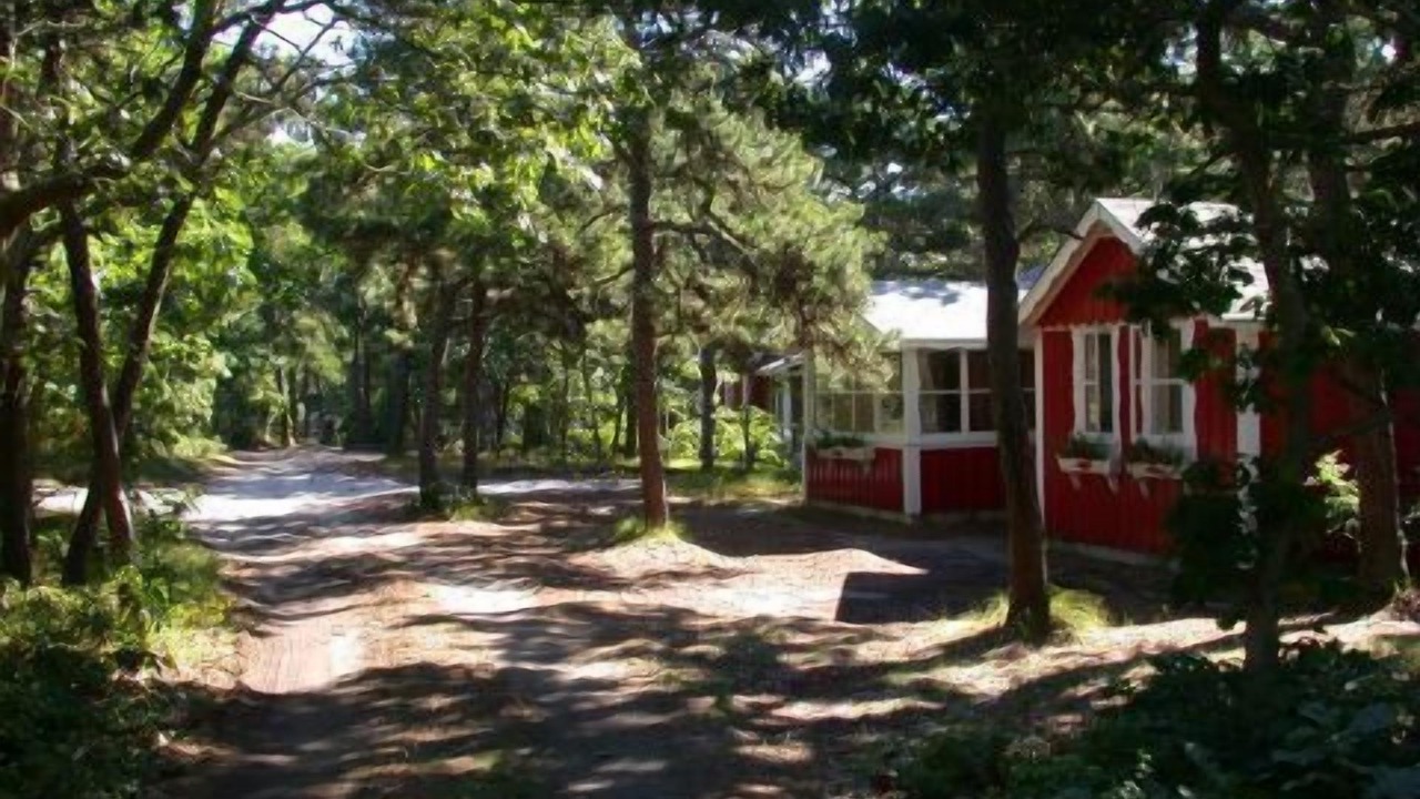 Photo of Others in South Chatham