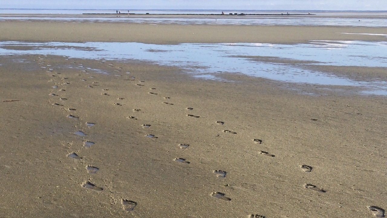 Photo of Others in Brewster