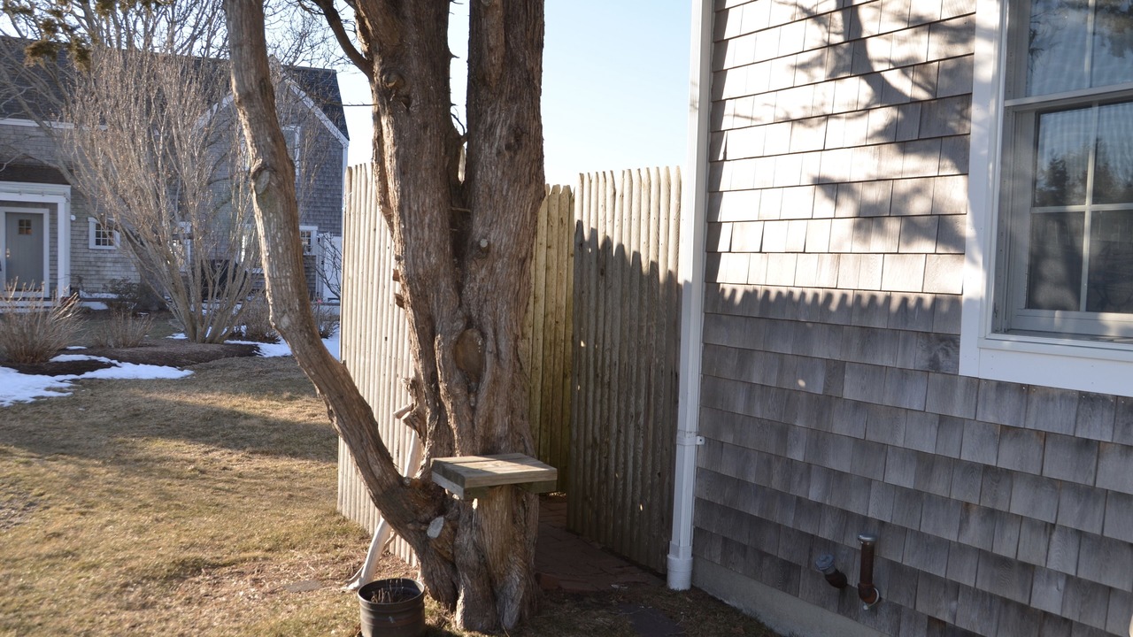 Photo of Outdoor in Brewster