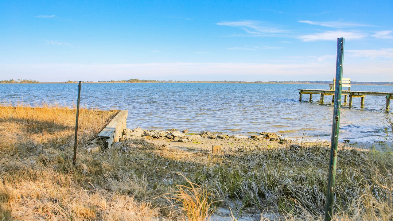 Photo of Others in Chincoteague