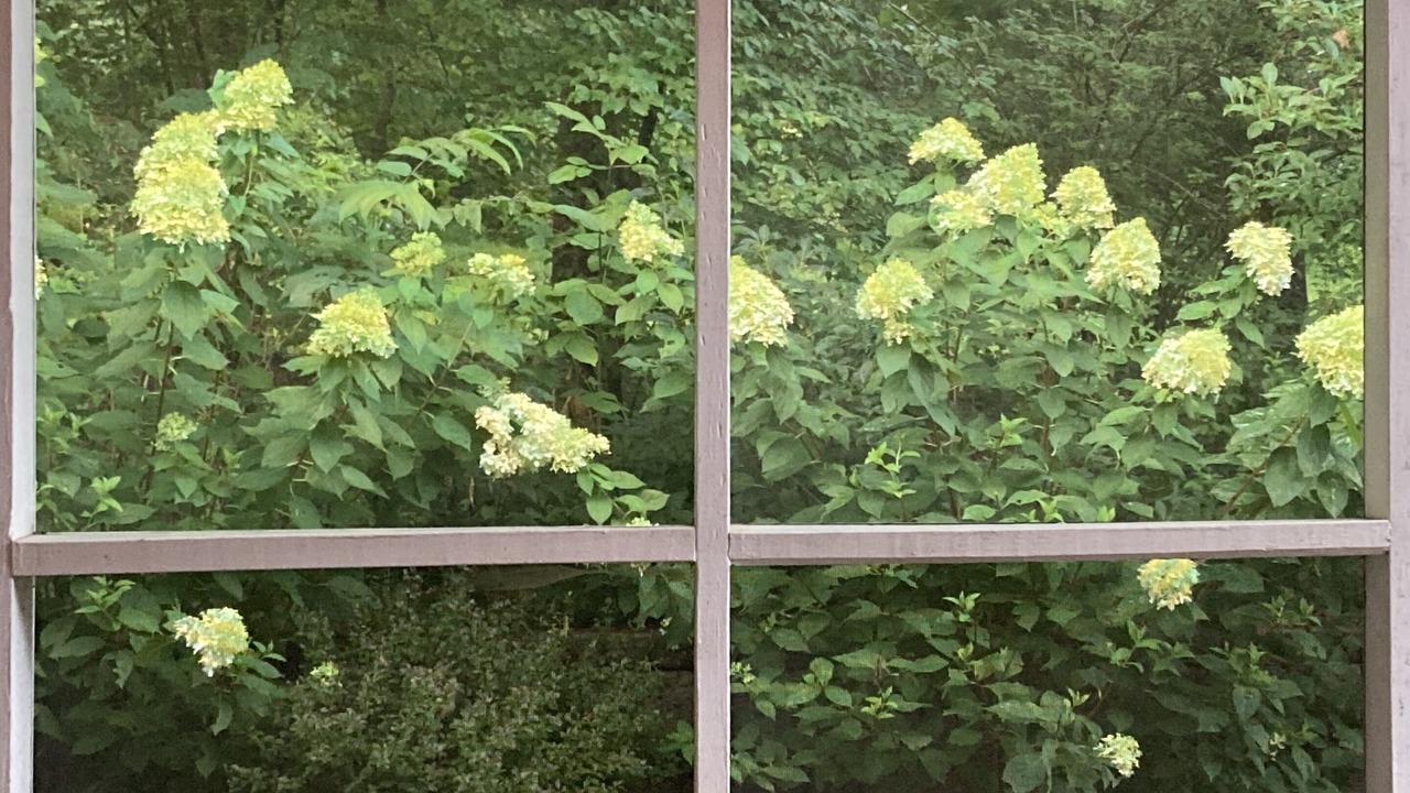 Photo of Outdoor in Blue Ridge