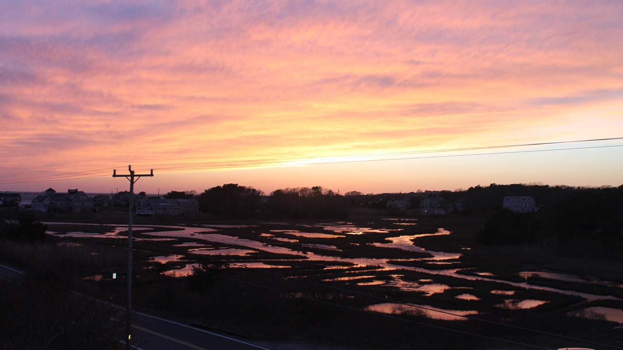 Photo of Others in Hyannis