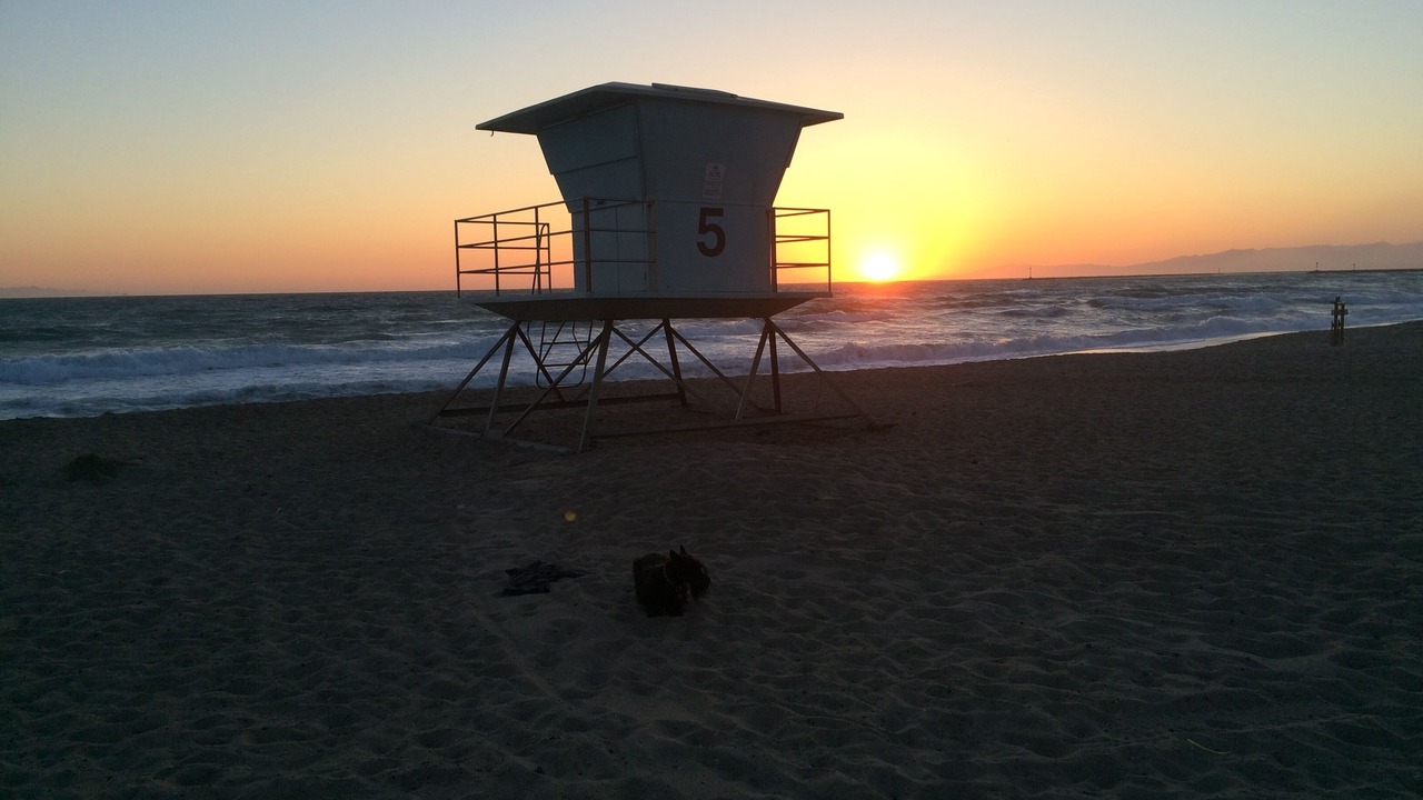 Photo of Others in Silver Strand
