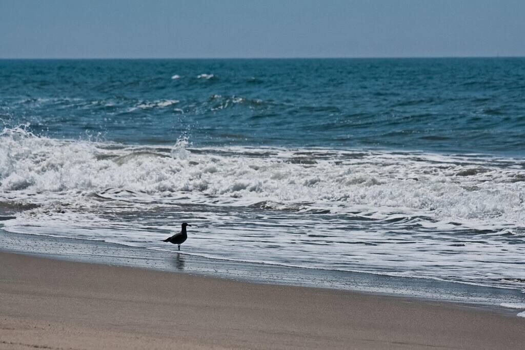 Photo of Others in Oxnard