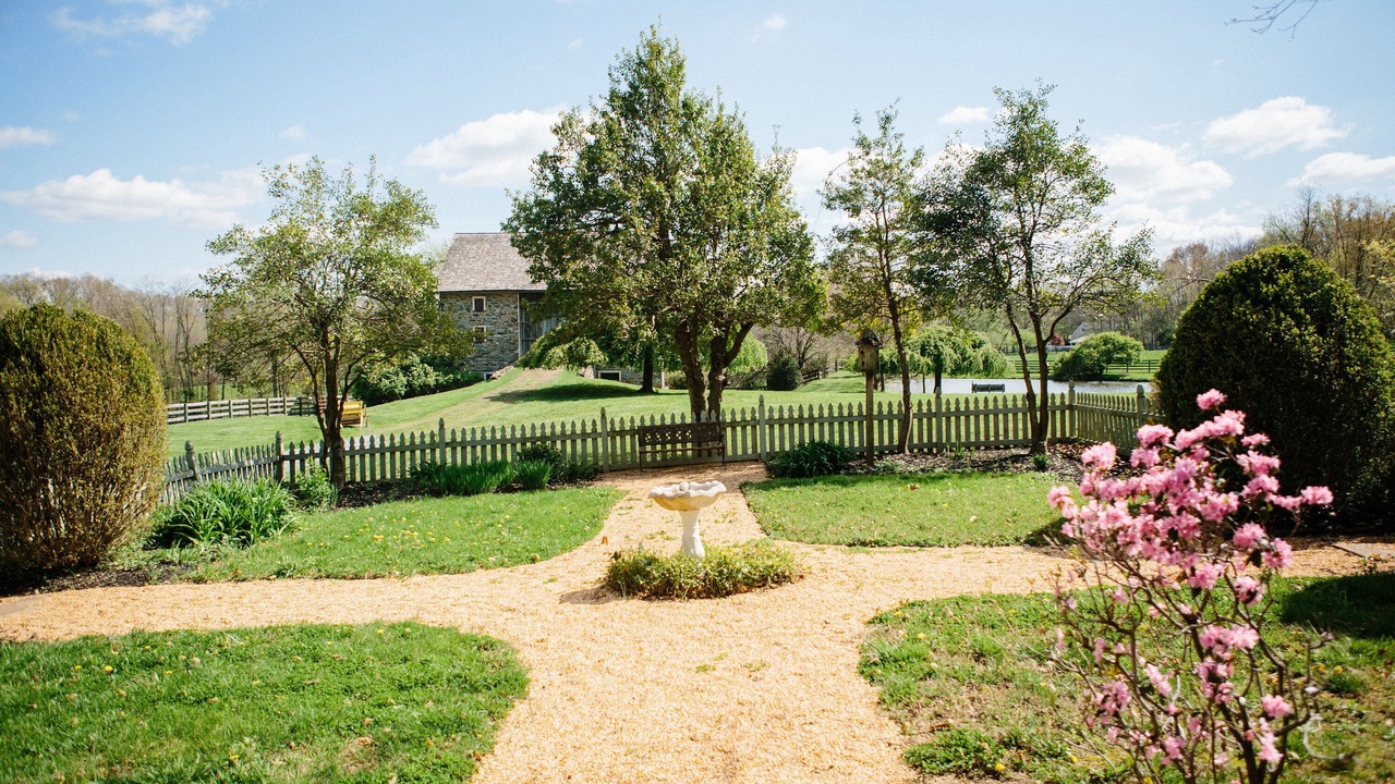 Photo of Outdoor in Blue Ridge