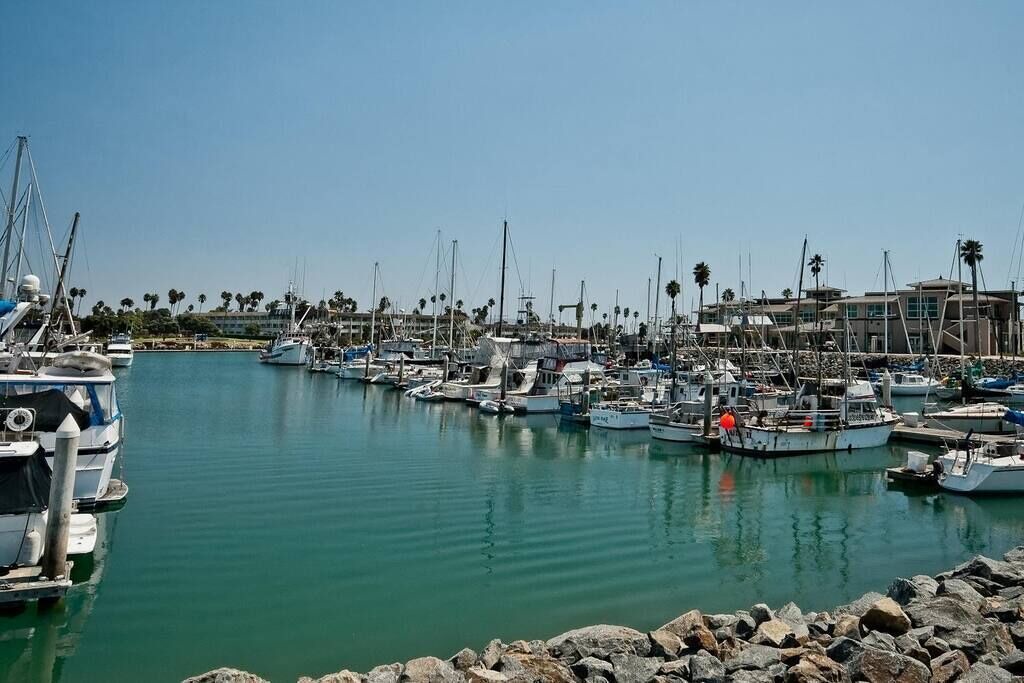 Photo of Others in Oxnard Dunes