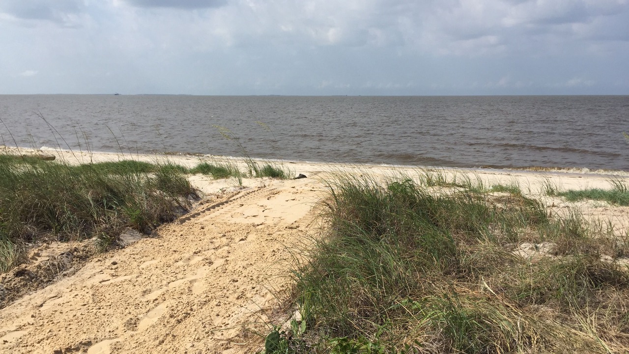 Photo of Others in Ocean Springs