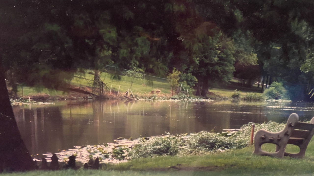 Photo of Outdoor in Breaux Bridge