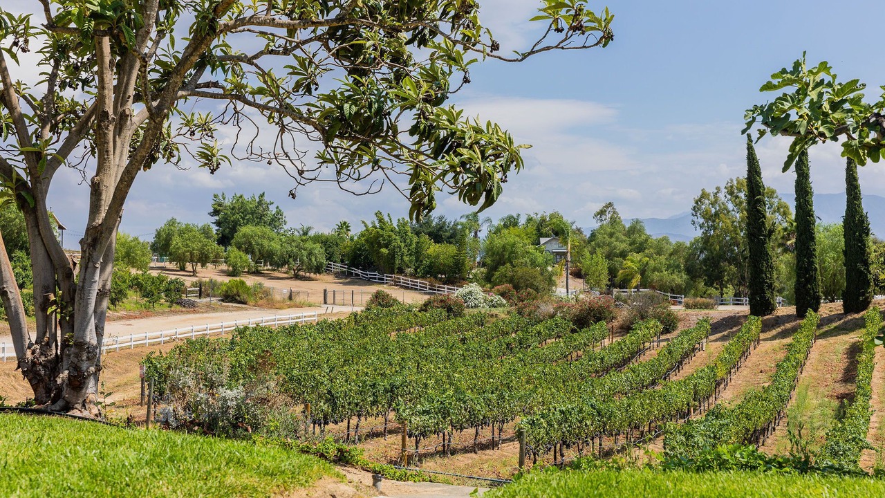 Photo of Outdoor in Temecula