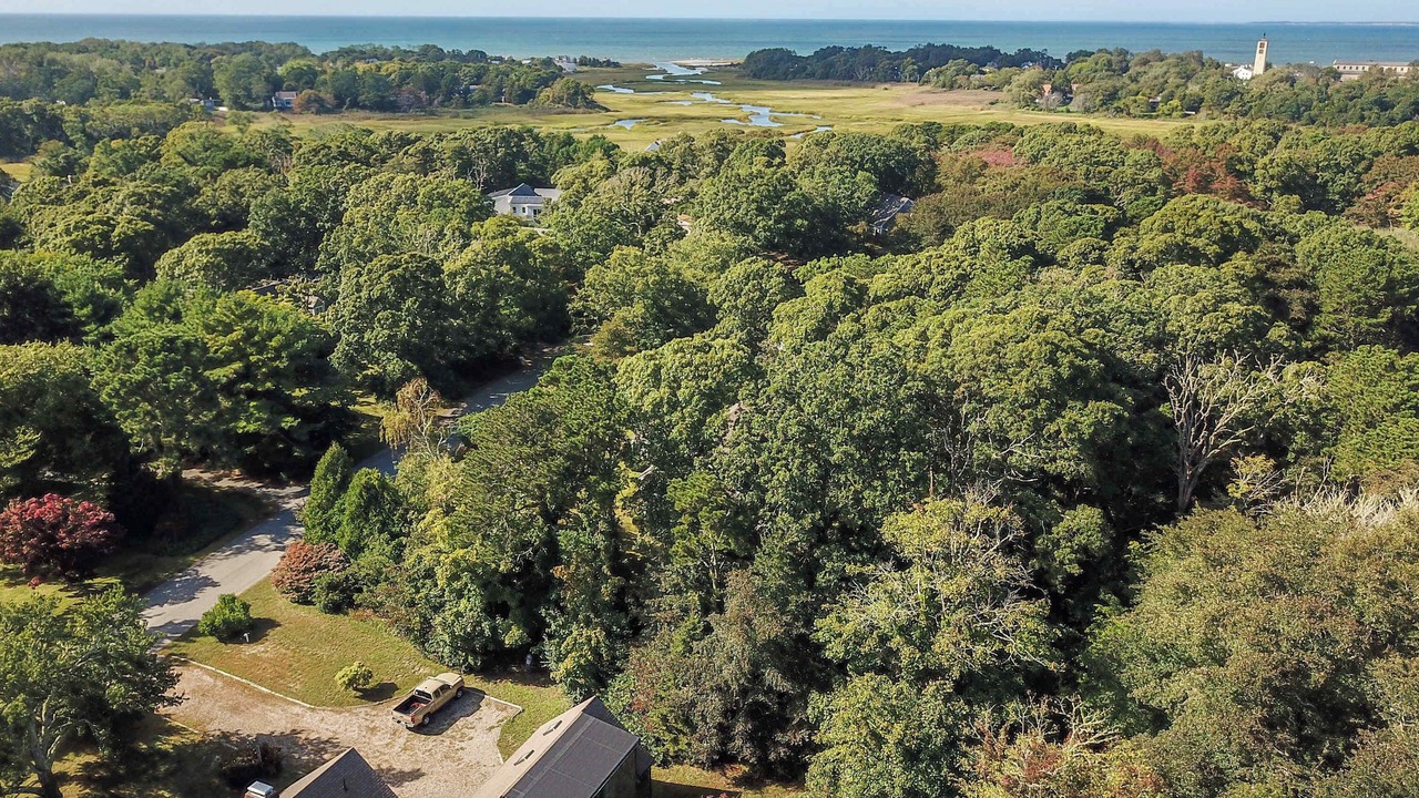 Photo of Outdoor in Orleans