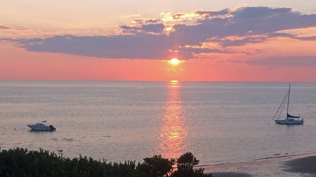 Photo of Others in North Eastham