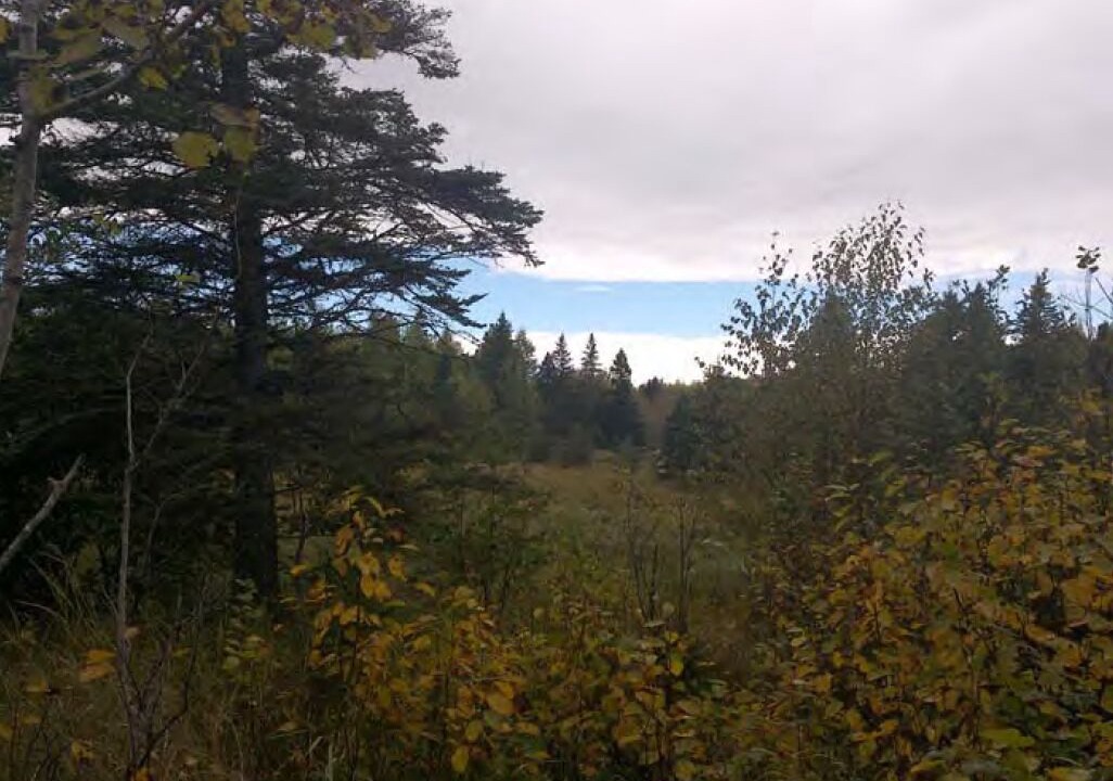 Photo of Outdoor in Two Harbors
