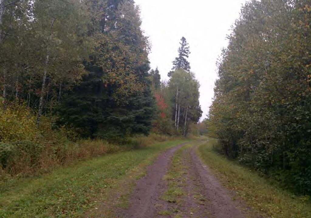 Photo of Outdoor in Two Harbors