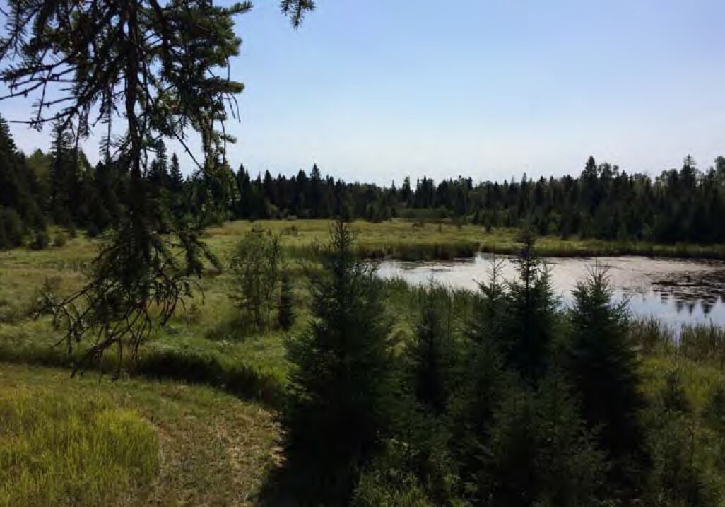 Photo of Outdoor in Two Harbors