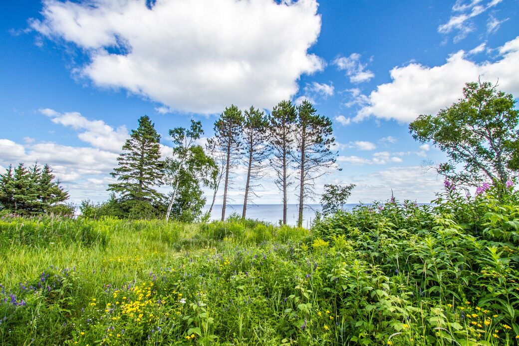 Photo of Outdoor in Grand Marais