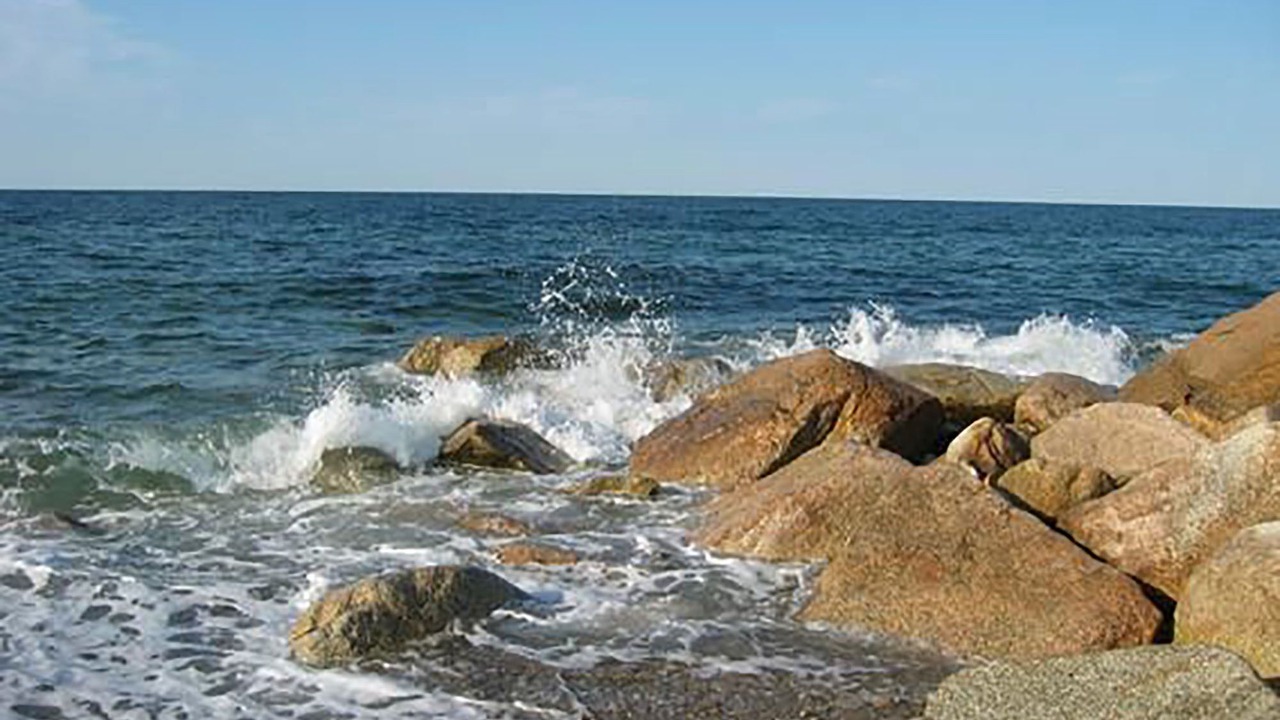 Photo of Others in Sandwich