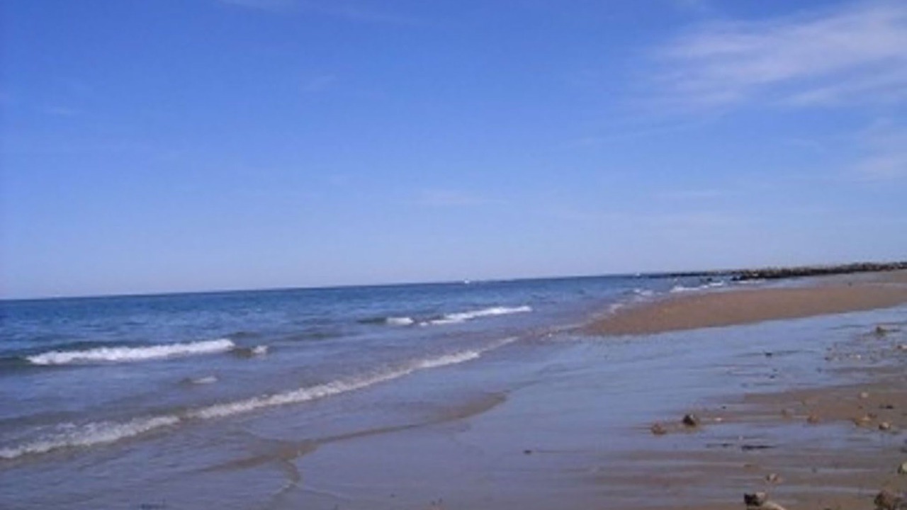 Photo of Others in Sandwich