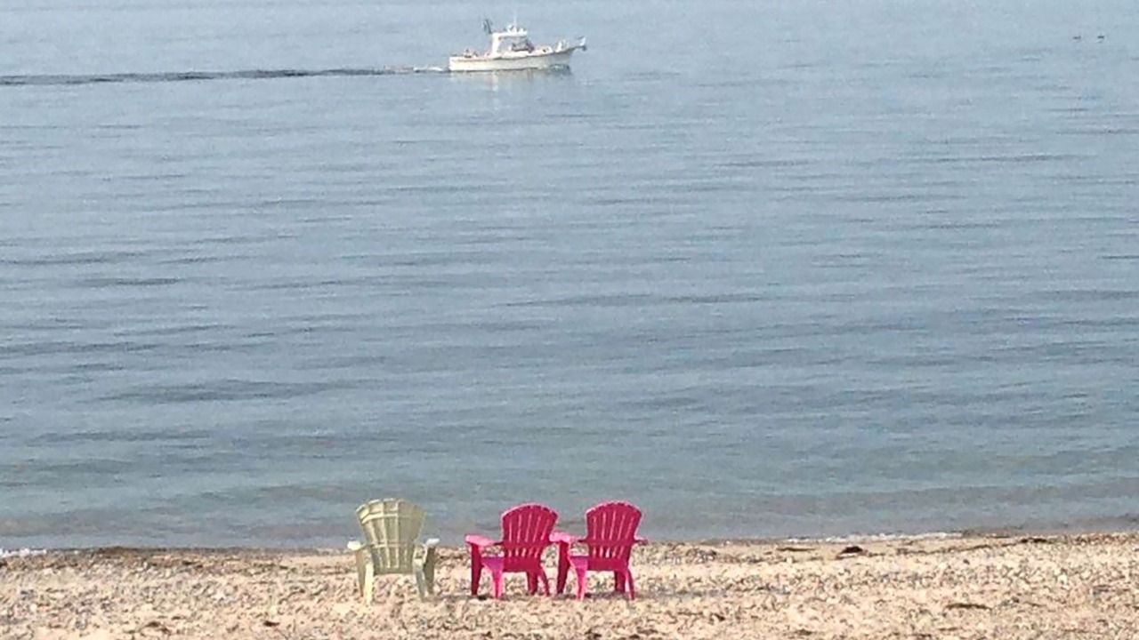 Photo of Others in Sandwich