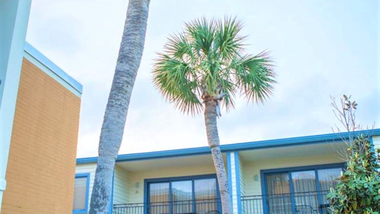 Photo of Outdoor in Biloxi