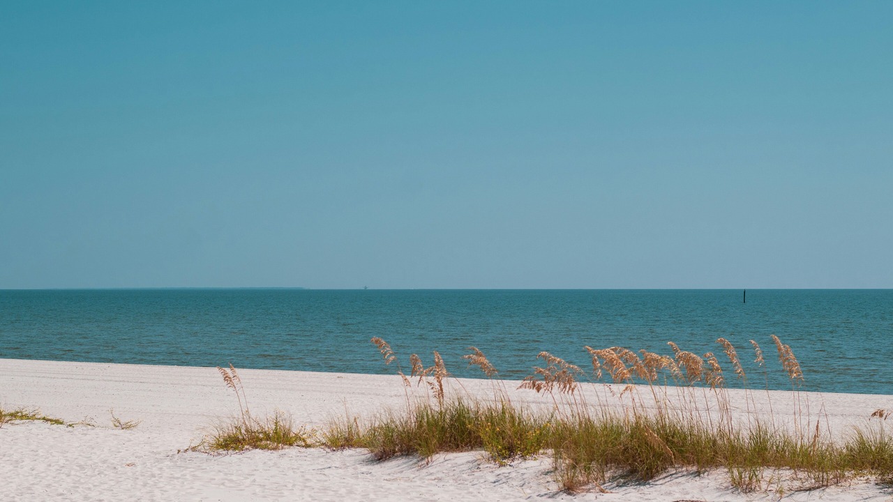 Photo of Others in Biloxi