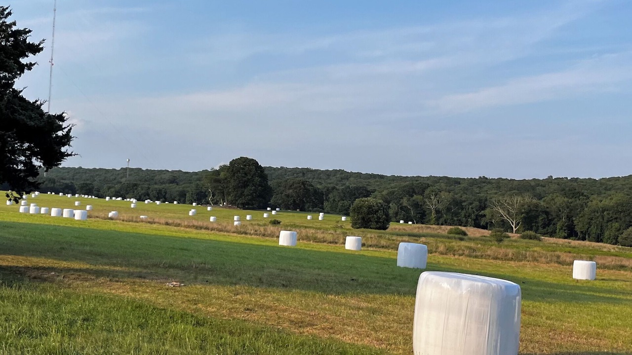 Photo of Outdoor in Tiverton