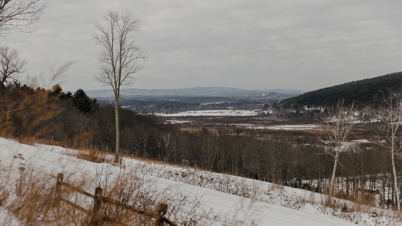 Photo of Others in Tyringham