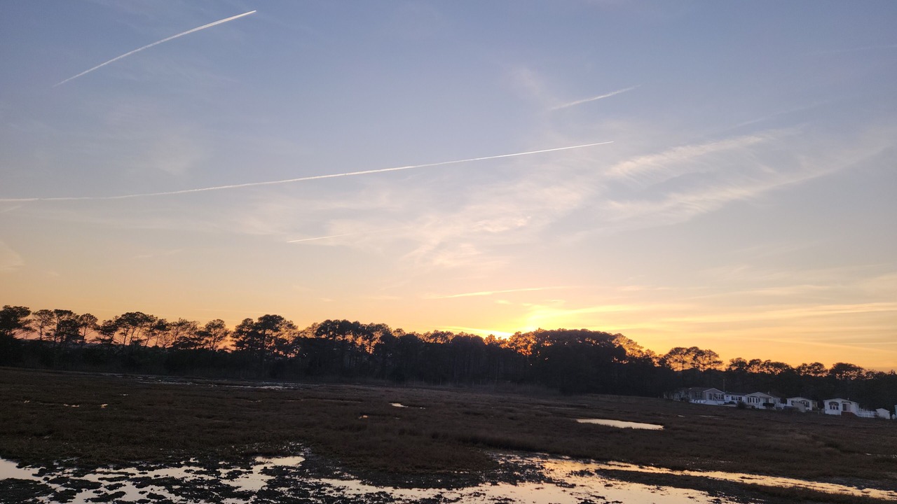 Photo of Others in Assateague Pointe