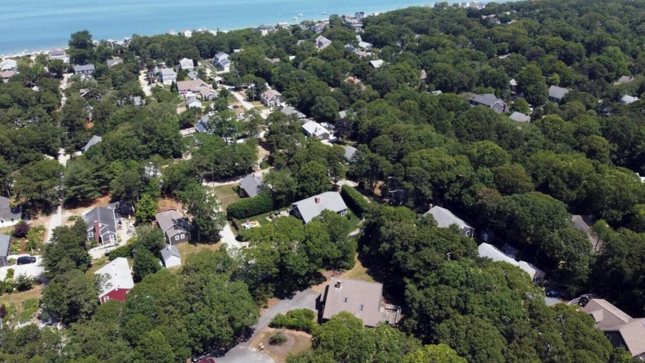 Photo of Others in Sea Pines