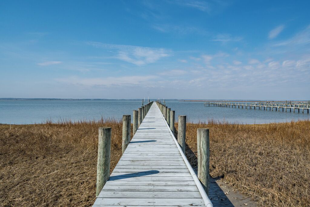 Photo of Others in Chincoteague