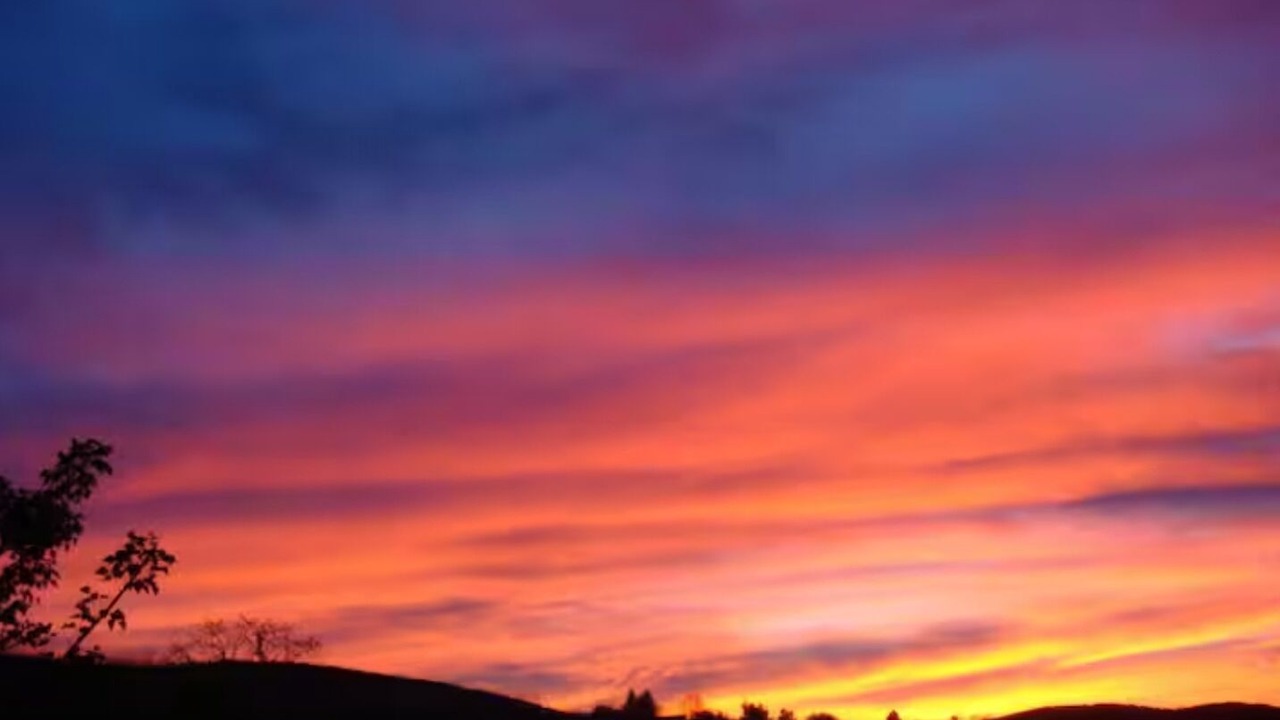 Photo of Others in Simi Valley