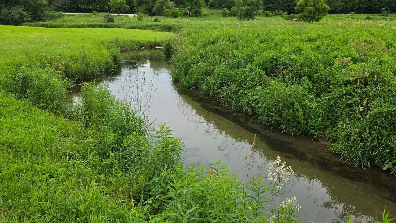 Photo of Others in Viroqua