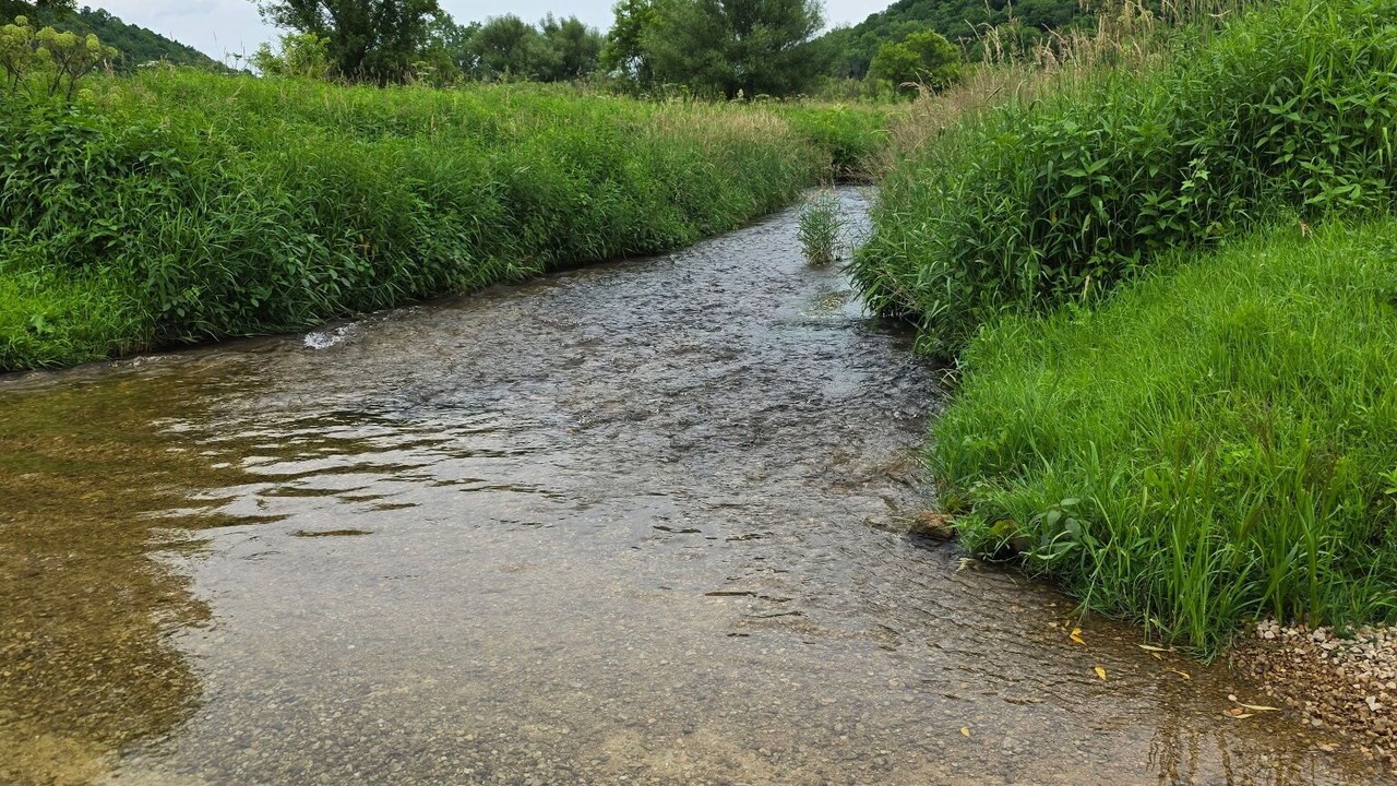 Photo of Others in Viroqua